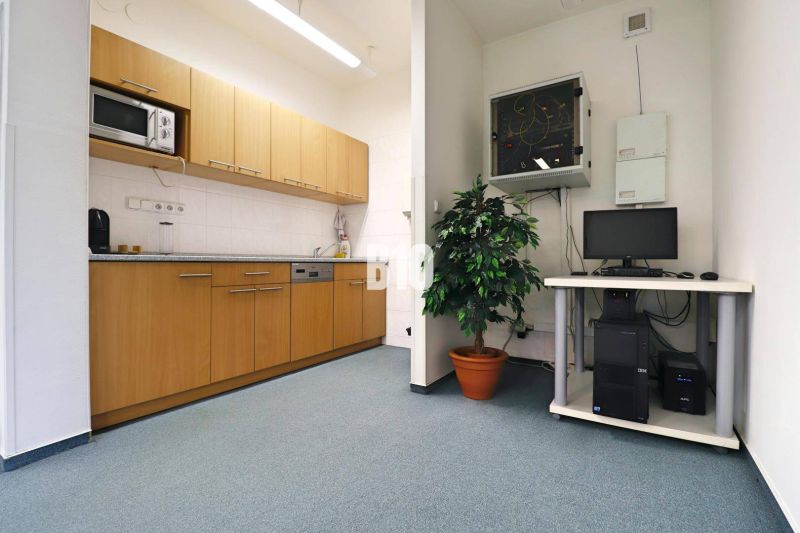 Eine Küchenzeile in Produktionsräumen mit Holzelementen, ein Computer und eine Pflanze im Blumentopf.