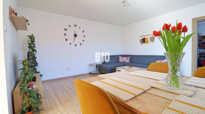 Wohnzimmer mit Holzdekorboden, bequemer Couch und Vase mit Tulpen.