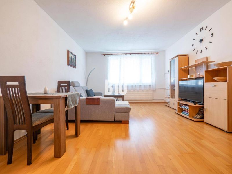 Wohnzimmer mit Holzboden in einer Zweizimmerwohnung mit Sofa und Essecke.