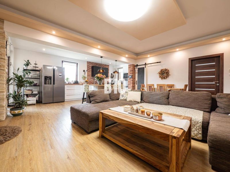 Wohnzimmer mit Küche in einem Einfamilienhaus, Sofa, Boden mit Holzdekor, Grünpflanzen.