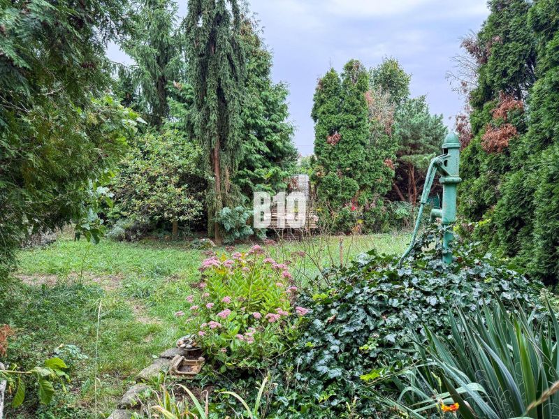 Der Garten des Einfamilienhauses in Vlkas mit Grünflächen und einer alten Pumpe, die von Pflanzen umgeben ist.