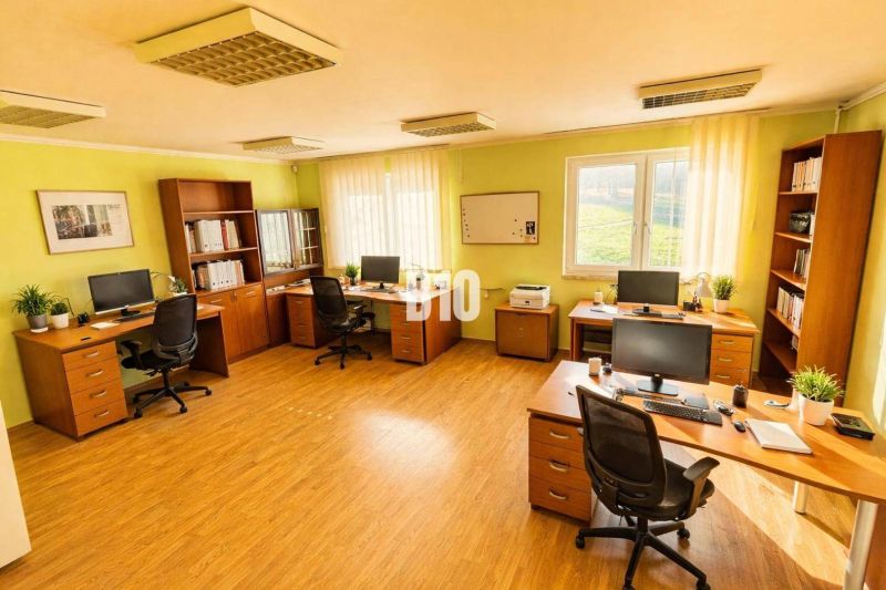 Ein Büro in einem Gebäude mit Holzboden, Computern, Tischen, grünen Wänden, Regalen.