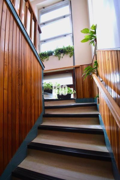 Eine Treppe im Einfamilienhaus mit Holzverkleidungen und Pflanzen auf der Fensterbank.