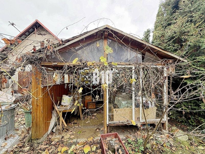 Ein alter Holzschuppen, überwuchert von Kletterpflanzen, neben einem Einfamilienhaus in Kotešová.