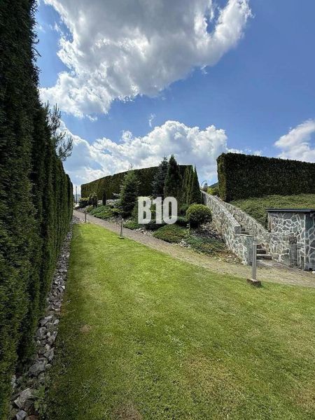 Ein Gartenweg bei einer Villa in Súľov-Hradná, gesäumt mit Steinen und hohen Sträuchern.