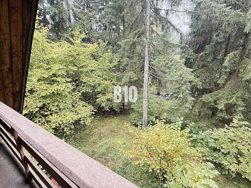 Blick von der Hütte in Kunerad auf den grünen Wald voller Bäume und Laub.