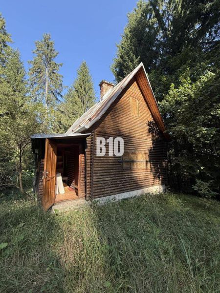 Eine Holzhütte in Kunerad, umgeben von Wald und blauem Himmel.