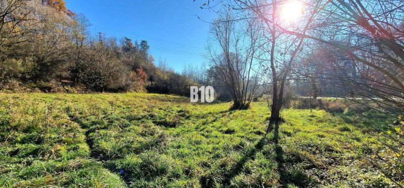 Sonniges Grundstück zum Wohnen mit Gras und Bäumen in Bytča, ideal für Naturliebhaber.