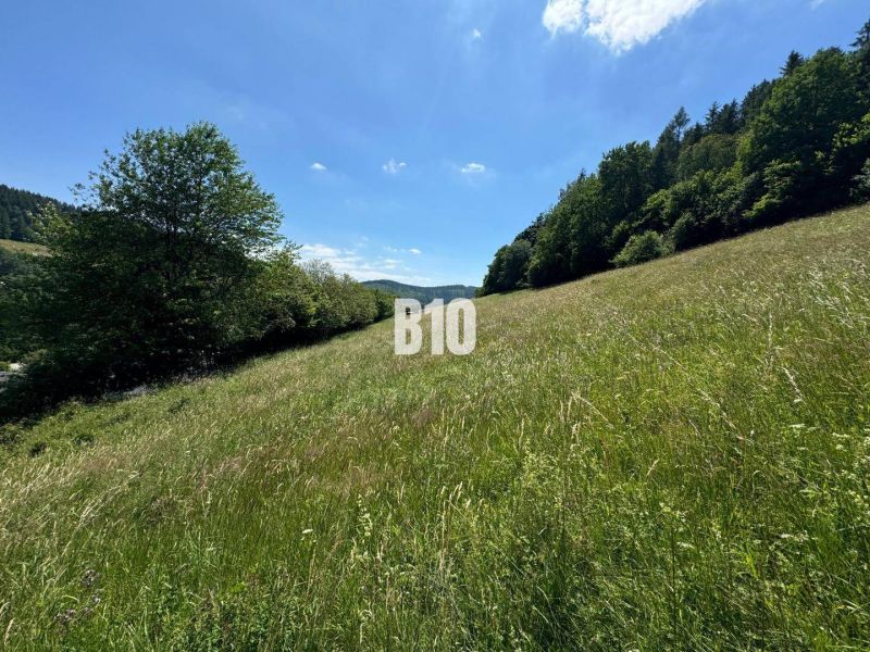 Eine weite Wiese mit Aussicht, umgeben von Bäumen in Dolný Vadičov, ideal für Baugrundstücke.