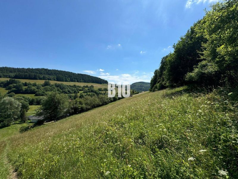 Hügelige Landschaft mit einer Wiese in Dolný Vadičov, ideal für Grundstücke - Wohnen.