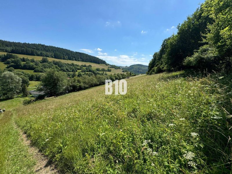 Hügeliges Gelände mit Wiese und Wald in Dolný Vadičov, ideal für Grundstücke - Wohnen.