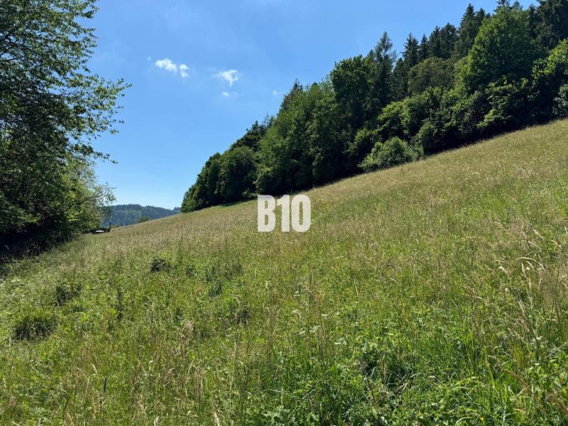 Grüne Wiesen und Wälder in Dolný Vadičov, ideal für Grundstücke - Wohnen.