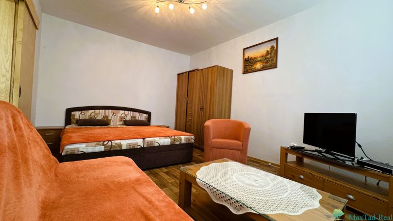 Wohnzimmer mit Sofa, Bett, Sessel und Fernseher, Einzimmerwohnung, Boden mit Holzdekor.