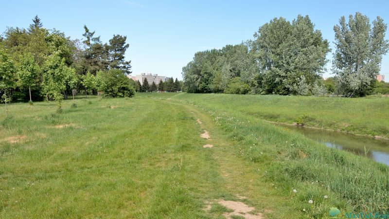 Rasenfläche und Baumreihe am Flussufer der Nábrežie J. M. Hurbana in Michalovce.