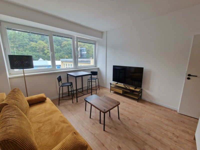 Wohnzimmer mit Sofa, Fernseher und Holzboden in einer 2-Zimmer-Wohnung.