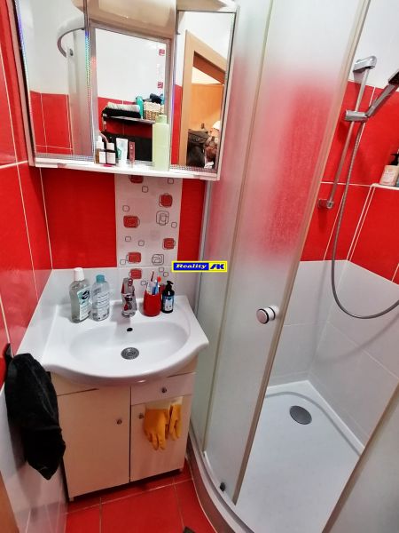 Badezimmer mit roten Fliesen, Duschkabine und Waschbecken in einer Einzimmerwohnung.