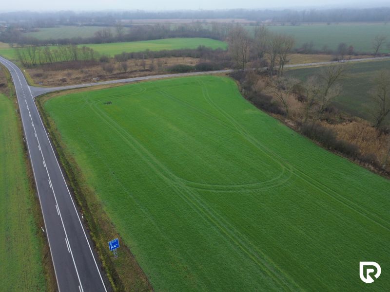 DJI_0650.jpg
