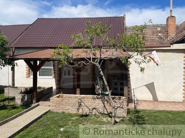 Ein Einfamilienhaus in Palárikovo mit einem kleinen Garten und einem Bäumchen vor der Terrasse.