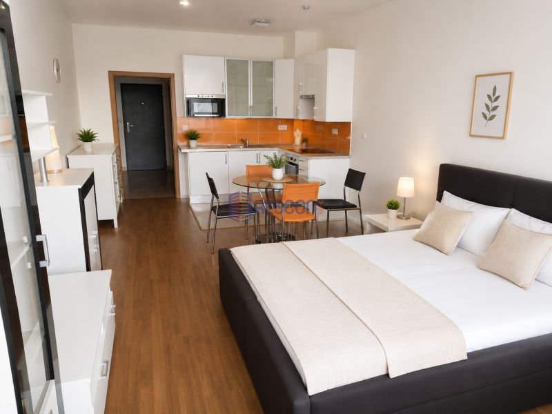 Einzimmerwohnung mit Küchenzeile, Holzboden und einem Bett in neutralen Farben.