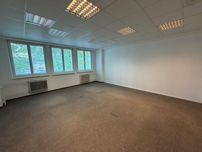 Ein leeres Büro mit neutralem Teppichboden und großen Fenstern, die Tageslicht hereinlassen.