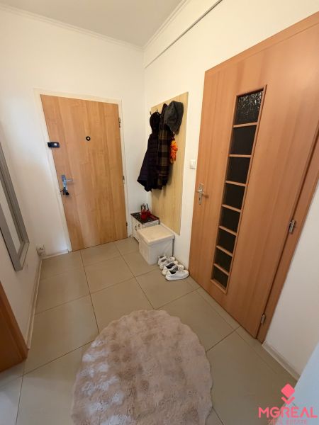 Innenraum einer 2-Zimmer-Wohnung mit Kleiderschrank, Fliesen und einem bequemen Teppich.