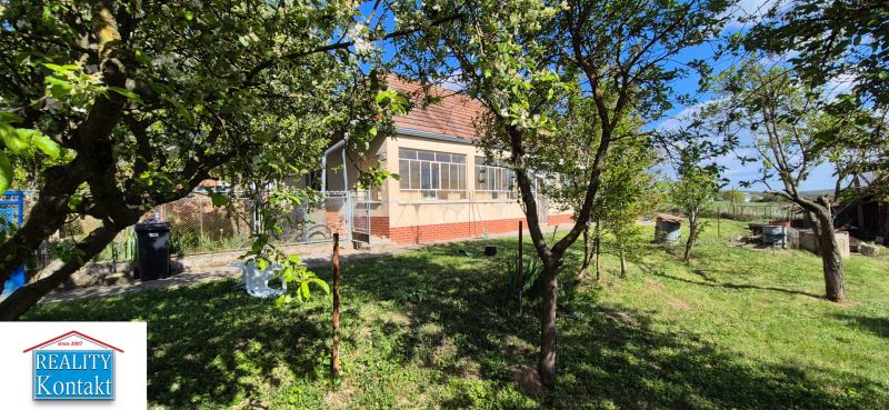 Ein Einfamilienhaus im Dorf, umgeben von einem Garten mit Obstbäumen, blauer Himmel.