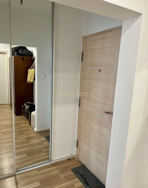 Flur mit Holzboden, Spiegelschrank und hellen Türen in einer 2-Zimmer-Wohnung.