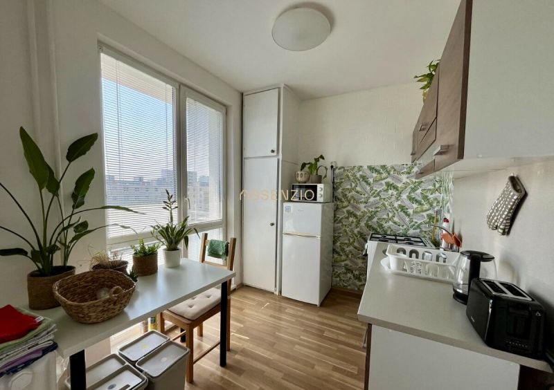 Küche in einer 2-Zimmer-Wohnung mit Pflanzen und einem Boden in Holzoptik.