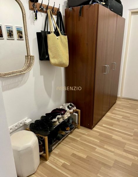Flur in einer 2-Zimmer-Wohnung mit Garderoben, Schuhschrank und Schrank, Boden mit Holzdekor.