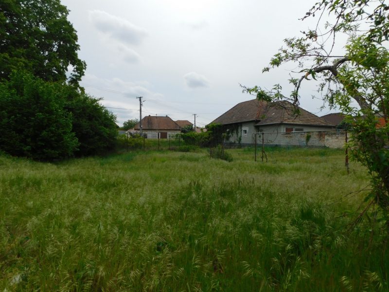 Pozemok na bývanie v Dvoroch nad Žitavou, obklopený zeleňou a vidieckymi domami.