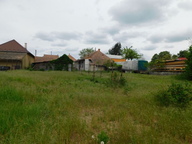 Pozemky na bývanie v Dvoroch nad Žitavou s vidieckymi stavbami a hustou trávou.