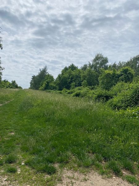 Grüne Grundstücke in der Rímska-Straße in Stupava, geeignet für Wohnzwecke.