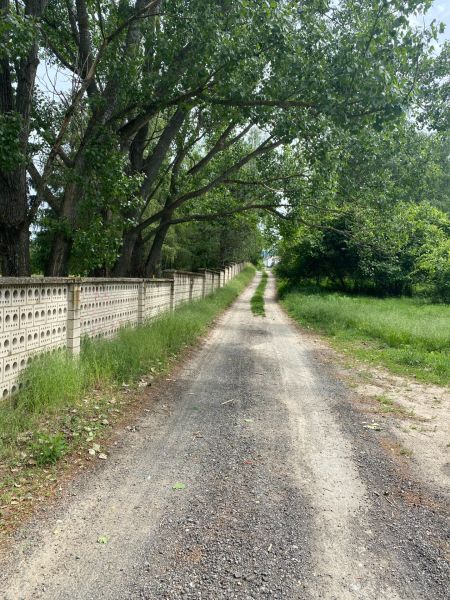 Ein schmaler Weg, umgeben von Bäumen, in der Rímska-Straße in Stupava, geeignet für Grundstücke - Wohnen.