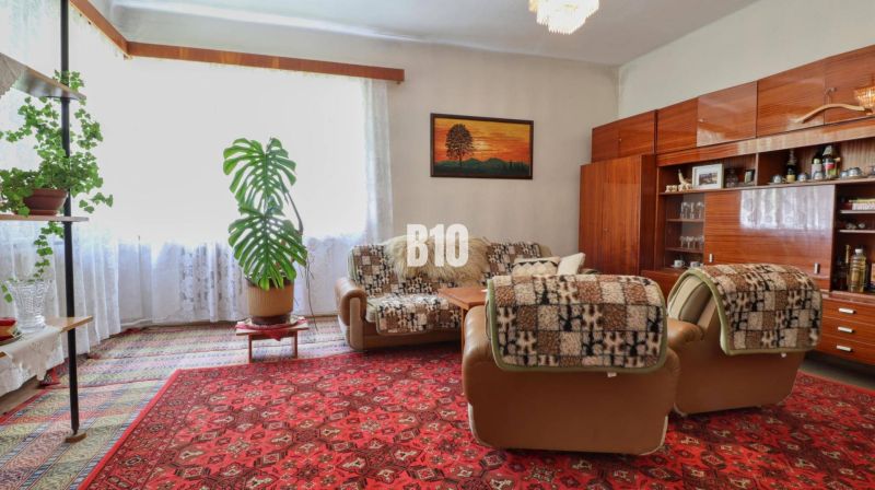 Wohnzimmer in einem Einfamilienhaus mit bequemer Couch, Teppich und Zimmerpflanzen.