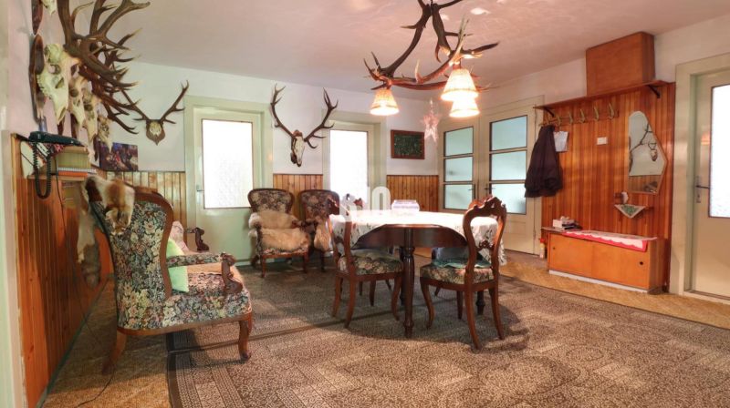 Innenraum eines Einfamilienhauses mit Holzverkleidung und Jagdtrophäen an den Wänden.