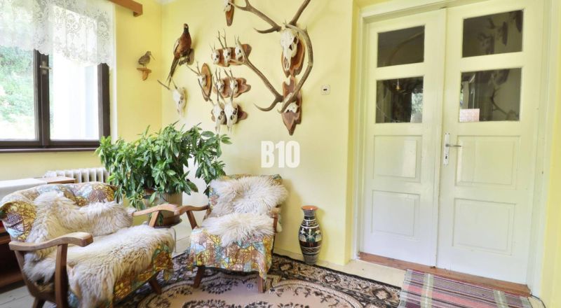 Interieur eines Einfamilienhauses mit Jagdtrophäen, Pflanzen und bequemen Sesseln.