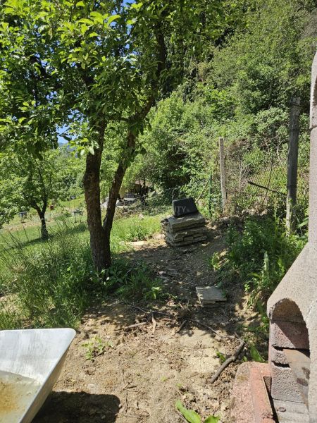 Das Grün in der Umgebung der Hütte in Budatín, natürliche Umgebung, Bäume und Stein.