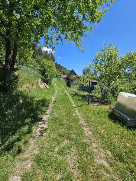 Ein von Grün umgebener Weg führt zu einer Hütte in Budatín.