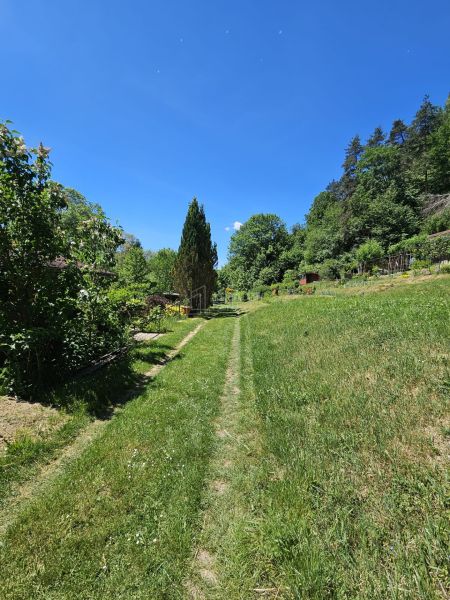 Ein grasbewachsener Weg in Budatín, umgeben von Bäumen, mit Blick auf das Grün in der Nähe der Hütte.