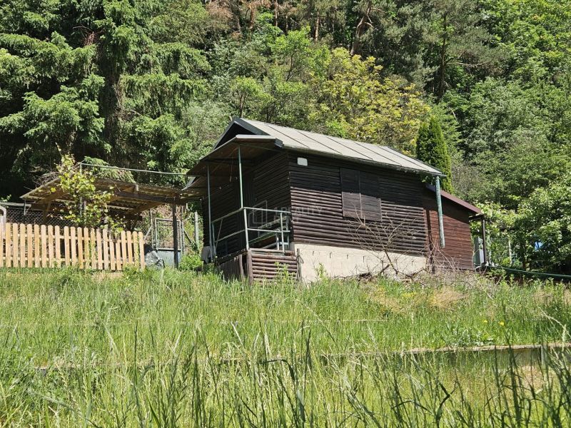 Eine Hütte in Budatín am Waldrand, umgeben von Grün und einem Holzzaun.