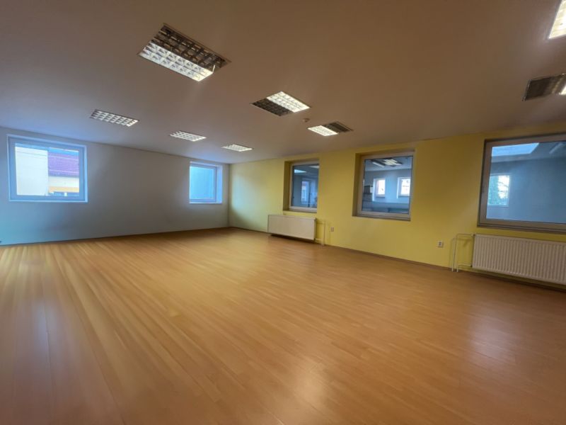Geräumiger Raum mit Fenstern und Holzboden, Lager und Hallen.