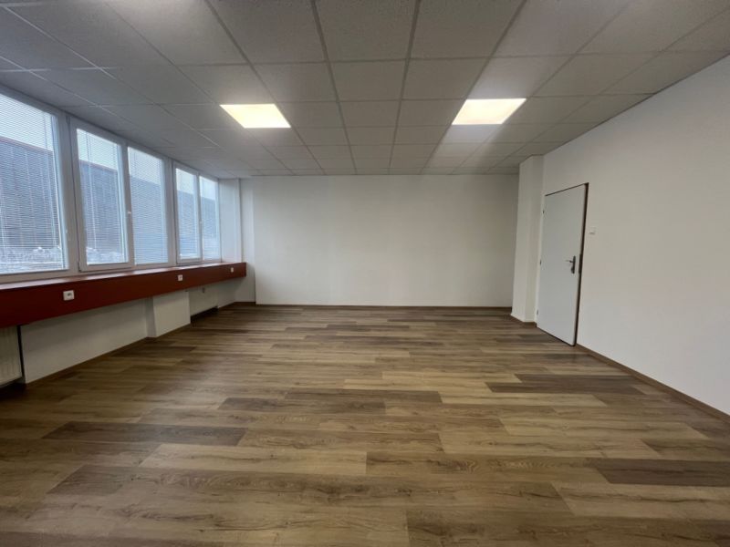 Büros mit hellen Wänden und einem Holzboden, verglaste Fenster und eine weiße Decke.