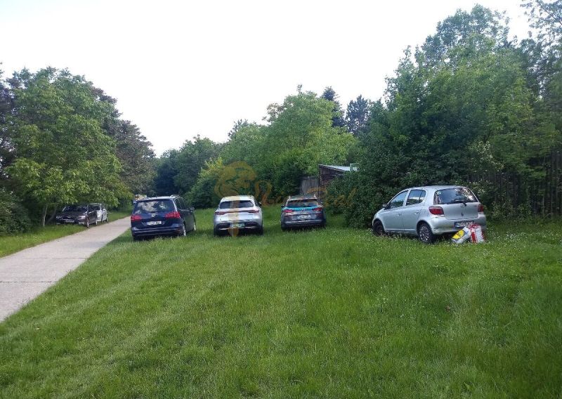 Autos parken auf dem Gras neben der Straße zwischen den Bäumen im Bereich Karloveská, Bratislava - Karlova Ves.