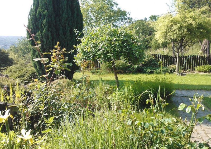 Ein Garten bei einem Einfamilienhaus mit üppiger Vegetation und gepflegtem Rasen.