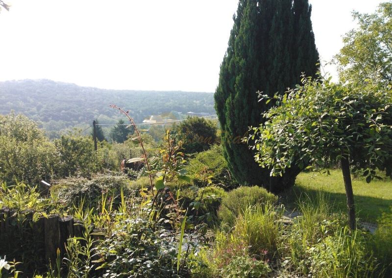 Ein Garten mit vielfältiger Vegetation bei einem Einfamilienhaus in Karlova Ves in der Karloveská Straße.