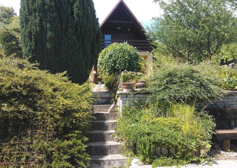 Grün und Treppen führen zu einer Hütte zwischen den Bäumen in einem Einfamilienhaus.
