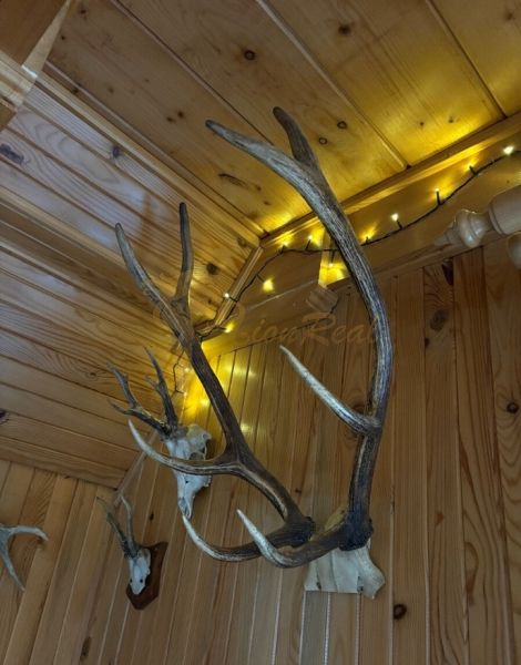 Holzinterieur mit Jagdtrophäen und Lichterketten in einem Einfamilienhaus.