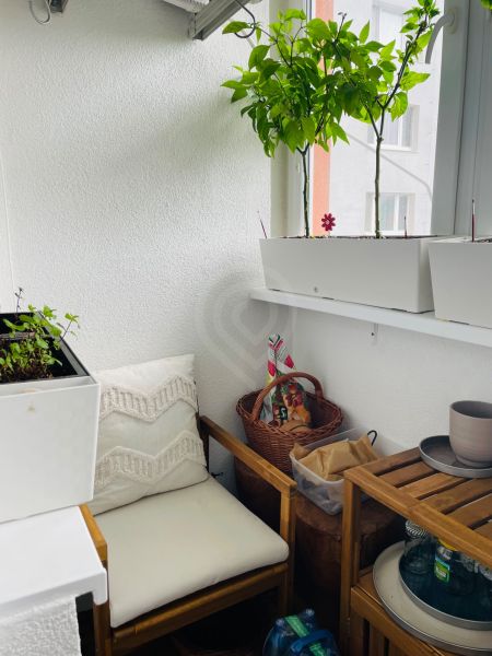 Stillleben mit Stuhl und Pflanzen auf einem gemütlichen Balkon in einer 3-Zimmer-Wohnung.