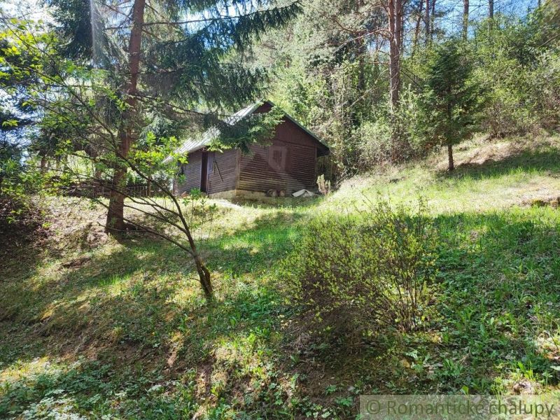 Eine Hütte in Slovenská Ľupča, umgeben von Wald am Hang, wirkt ruhig und natürlich.