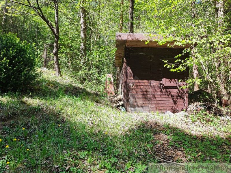 Eine Hütte zwischen den Bäumen in Slovenská Ľupča, umgeben von Grün und Blumen.